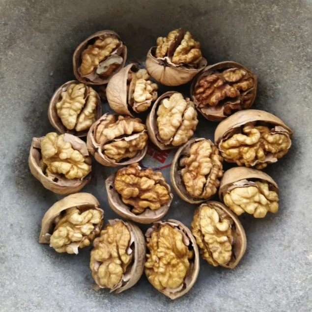 
100% Xinjiang Origin Thin-skinned Walnuts 185 variety 