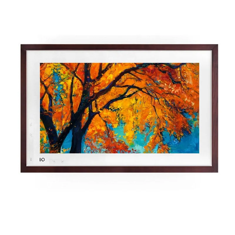 

BOE 21.5 inch Wall frame electronic ps multi wall hanging digital photo frame