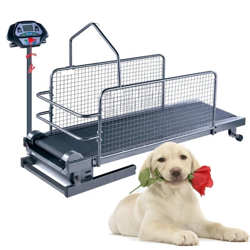 

Electronic Dog Sports Equipment Dog Sport Treadmill Training Machine