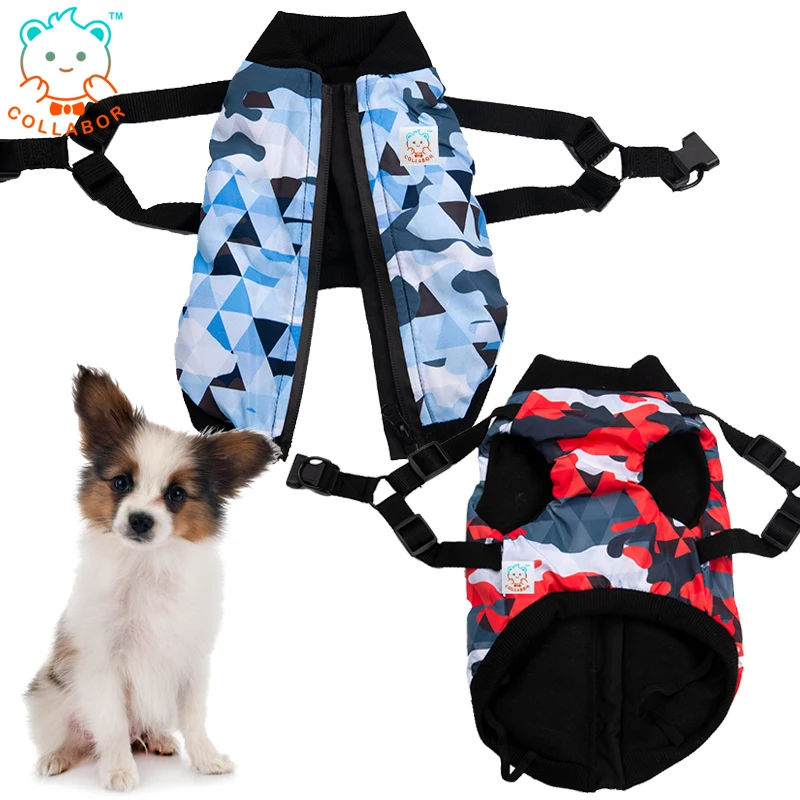 

COLLABOR Dachshund Waterproof Dog Harness Jacket Warm Windproof Dog Harness Winter Chest Harness Leash For S M Cat Pet Collar, Digital print