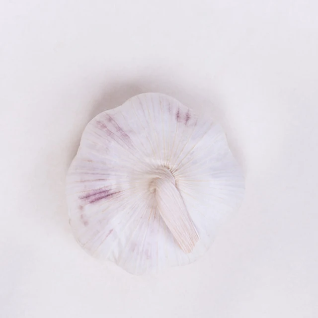 Good Crop Garlic Chinese Best Crop Fresh Vegetables