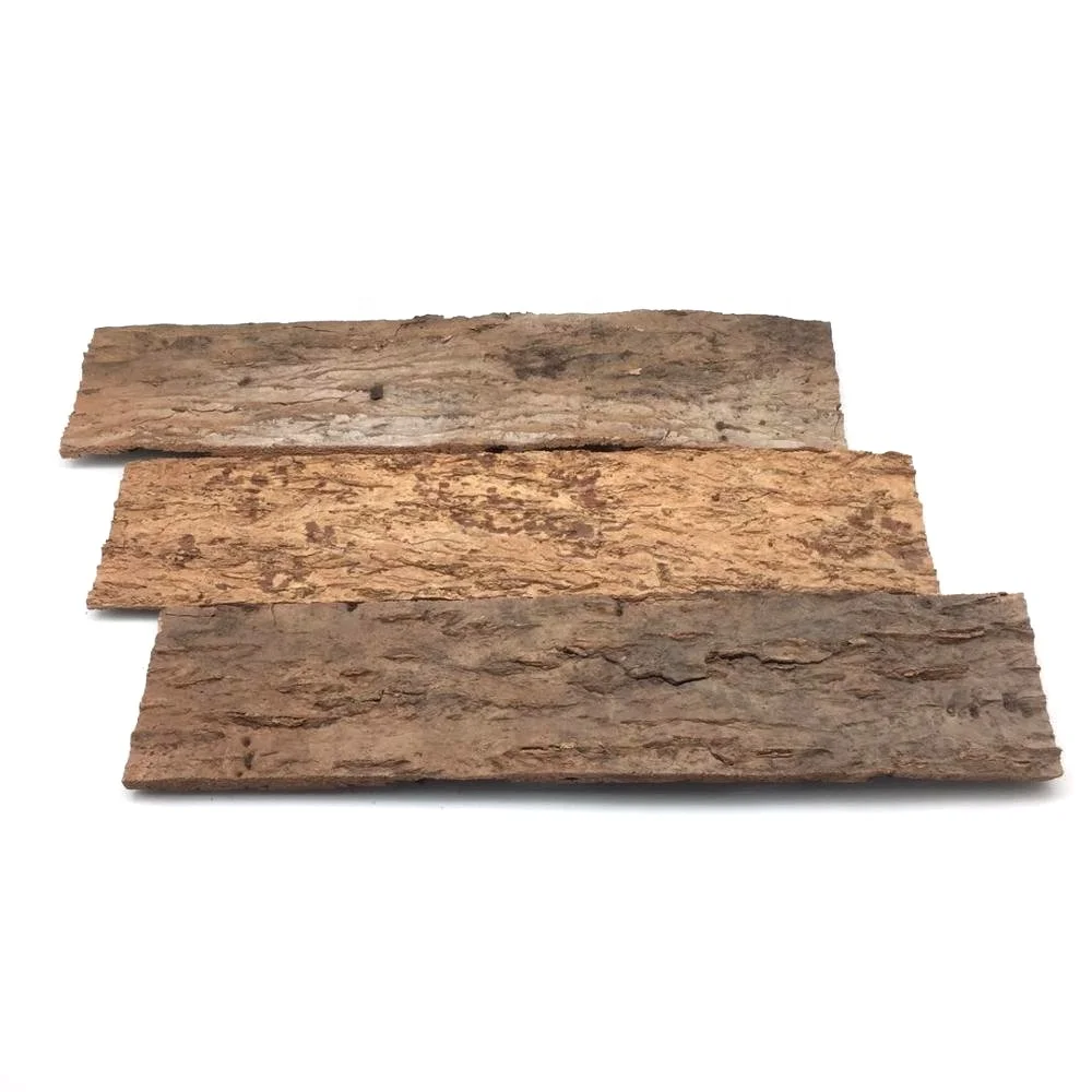 
Flat Virgin Bark Cork background 10cm width x 30cm length natural cork bark for reptile terrarium 
