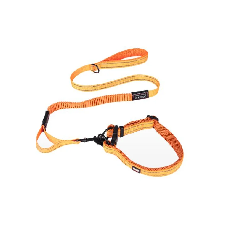 

Lorenzo Oem Arnes Correa Perro L Orange  Cuban Dog Chain And Leash Set Collier Chien Martingale Hundegeschirr Dog Leash