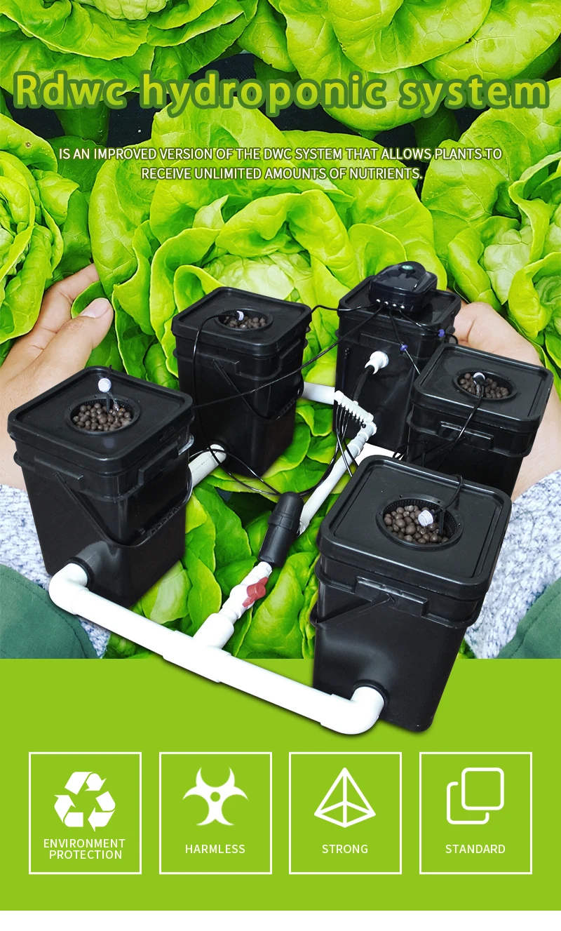 Plant Hydroponics System Rdwc Clone Bucket Drip Irrigation 4 Buckets Air Pump And Cycle Pump