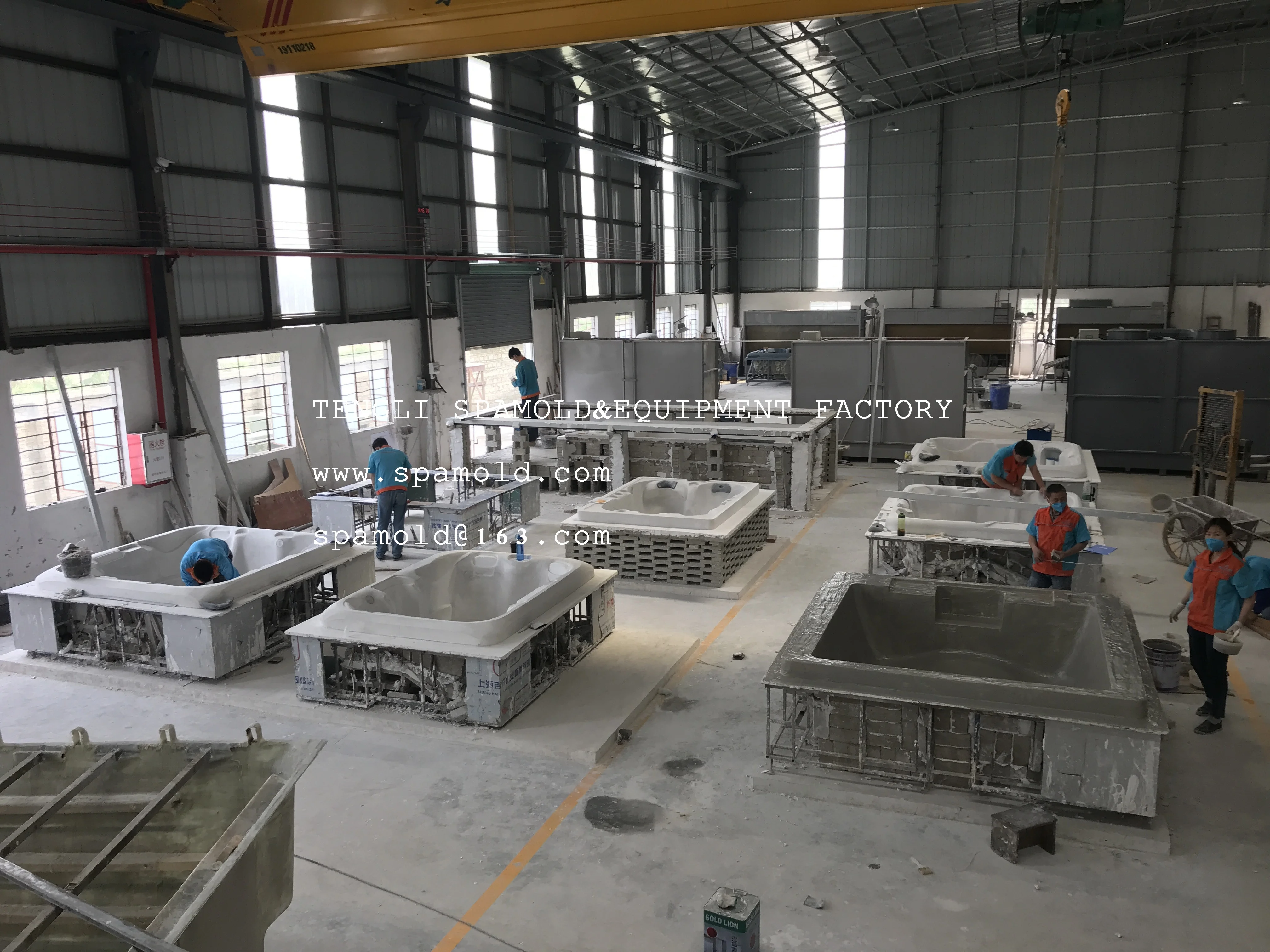 Tengli mold plant_