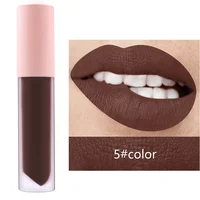 

Cosmetic Vendor Hot Sale Moisturizing lip gloss matte lip gloss