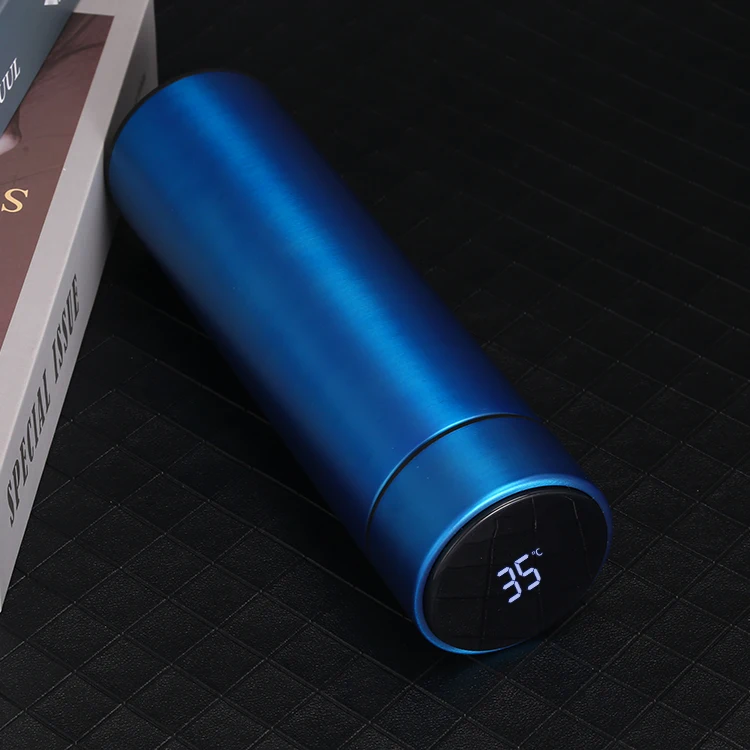 Stainless Steel Led Temperature Display Bottles Fahrenheit Degrees