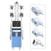 New tech 5S cool body slimming body sculpting frozen fat Kryolipolyse cryotherapy weight loss criolipolisis beauty salon machine