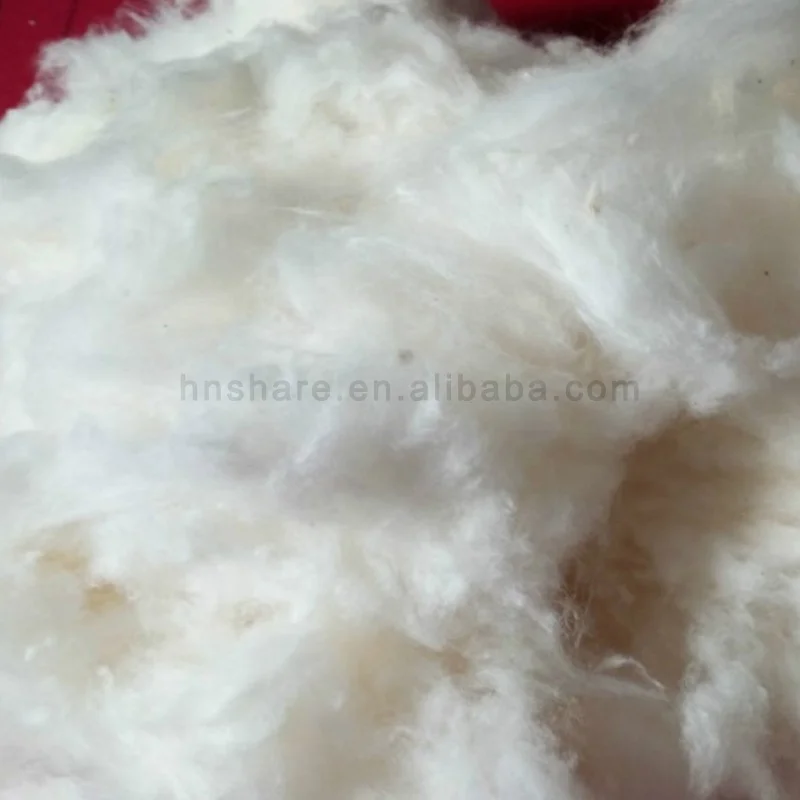 
New Raw Cotton 100% Fabric for Sale 