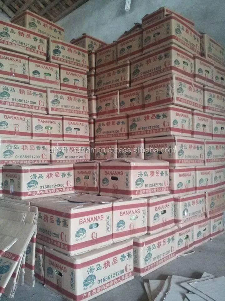 
CROP 2020 Cheap price of cavendish banana origin from Vietnam high quality 