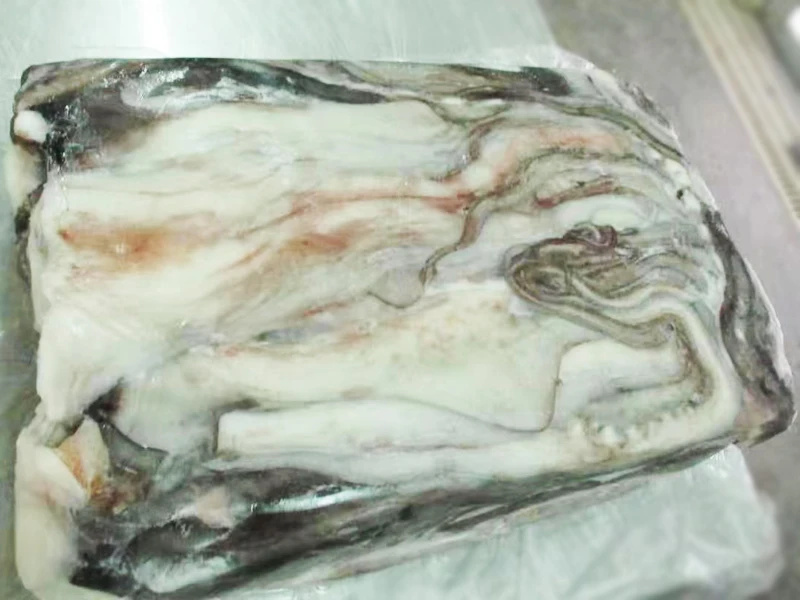 giant squid tentacles 3.jpg