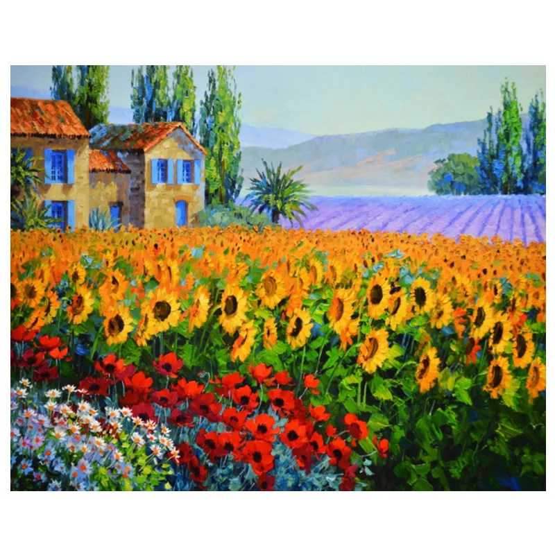 

wholesale DIY Oil Painting Paint by Number Kit sunflower Field adult painting by numbers canvas Drawing With Brushes 40x50cm, Picture shows