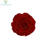 China factory supply wholesale 9-10cm everlasting flower head preserved roses
