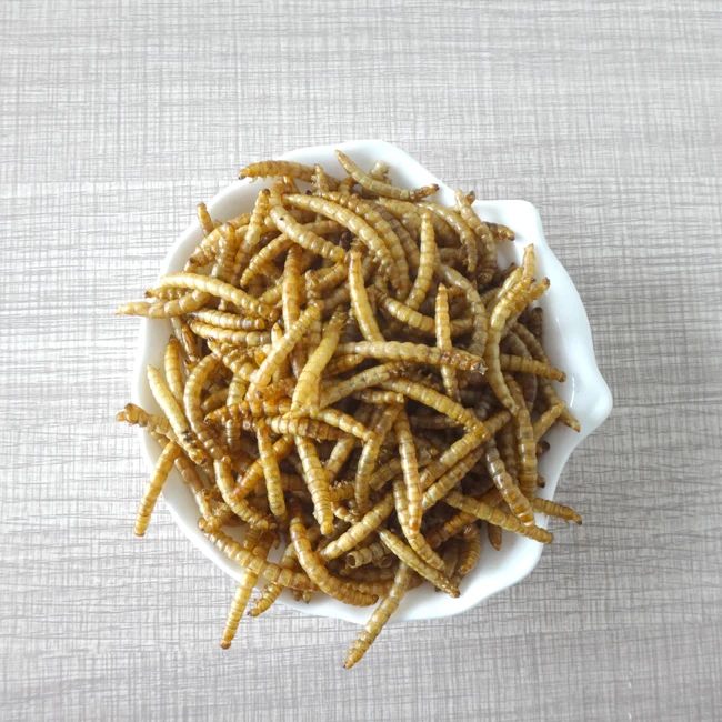 High Protein Dried Mealworm In Bulk For Wild Bird 5 Kg Buy Mealworms