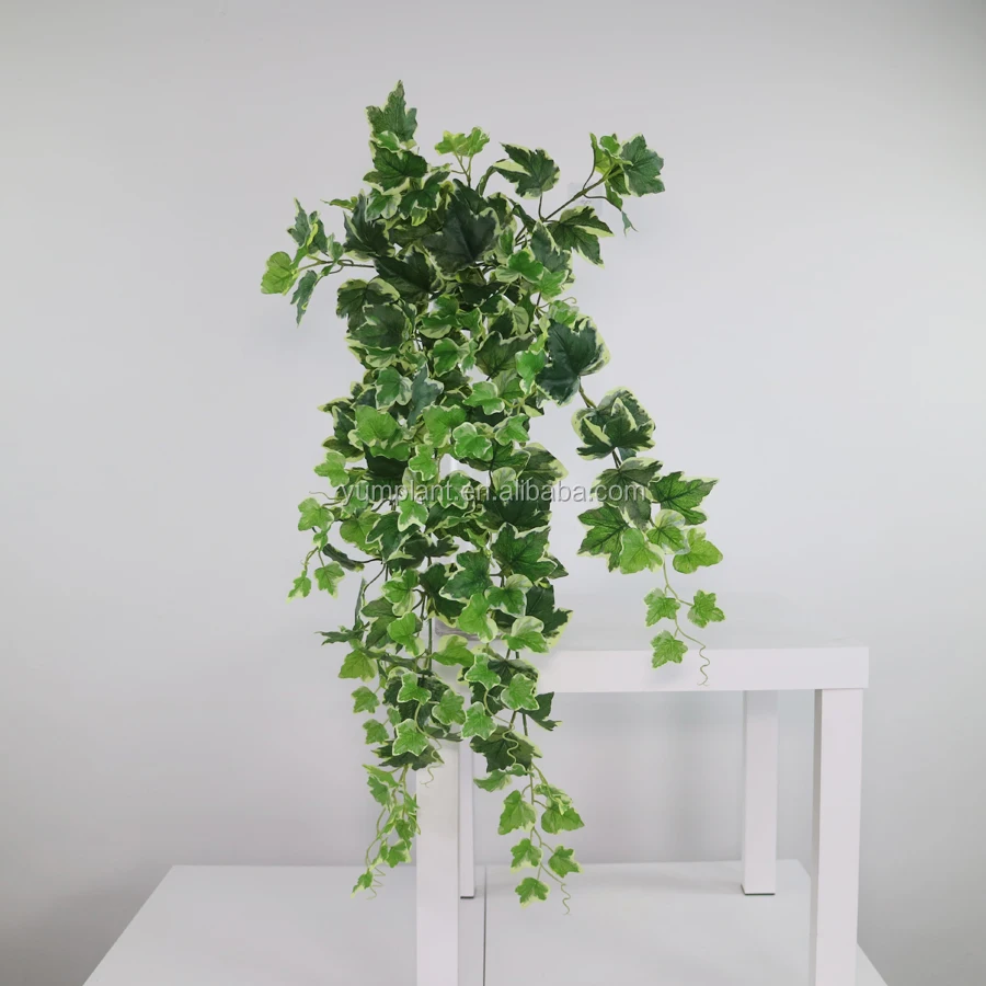 7茎129lvs 60厘米长壁悬挂式常春藤植物室内装饰 Buy 悬挂常春藤植物 墙ivy 壁挂ivy Product On Alibaba Com