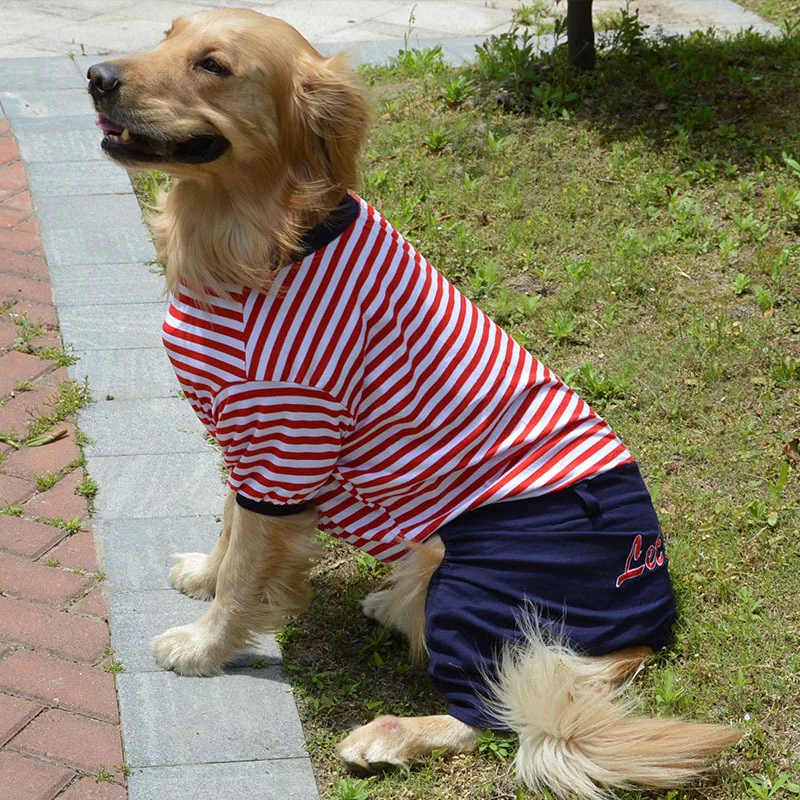 

Pet dog clothes golden retriever Labrador multilateral striped big dog Siamese four-leg pants