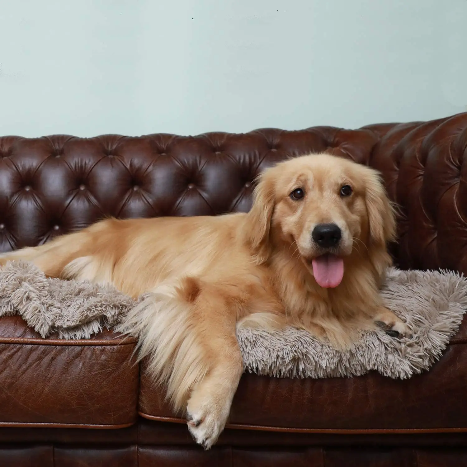 

Non-Slip Long Plush Dog Bed Pet Blanket, Soft Fleece Cat Mat Pad, Picture