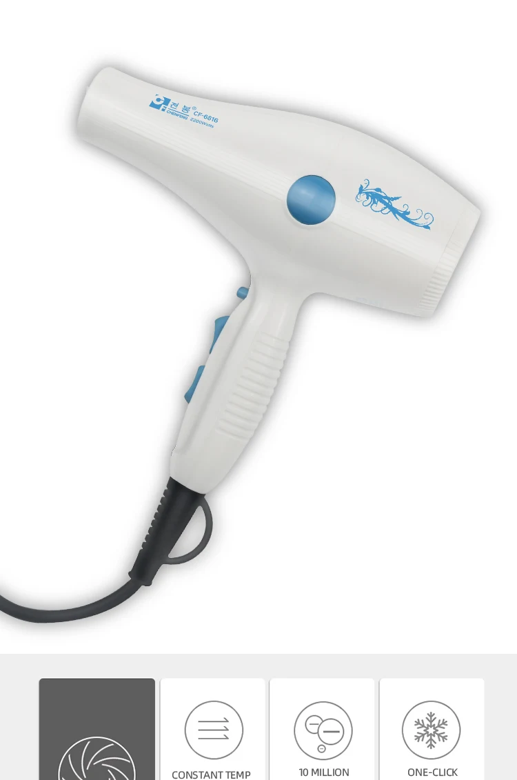 international hair dryer