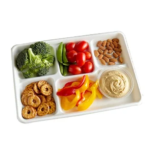 Image of Disposable biodegradable 5 compartment sugarcane pulp lunch tray for food