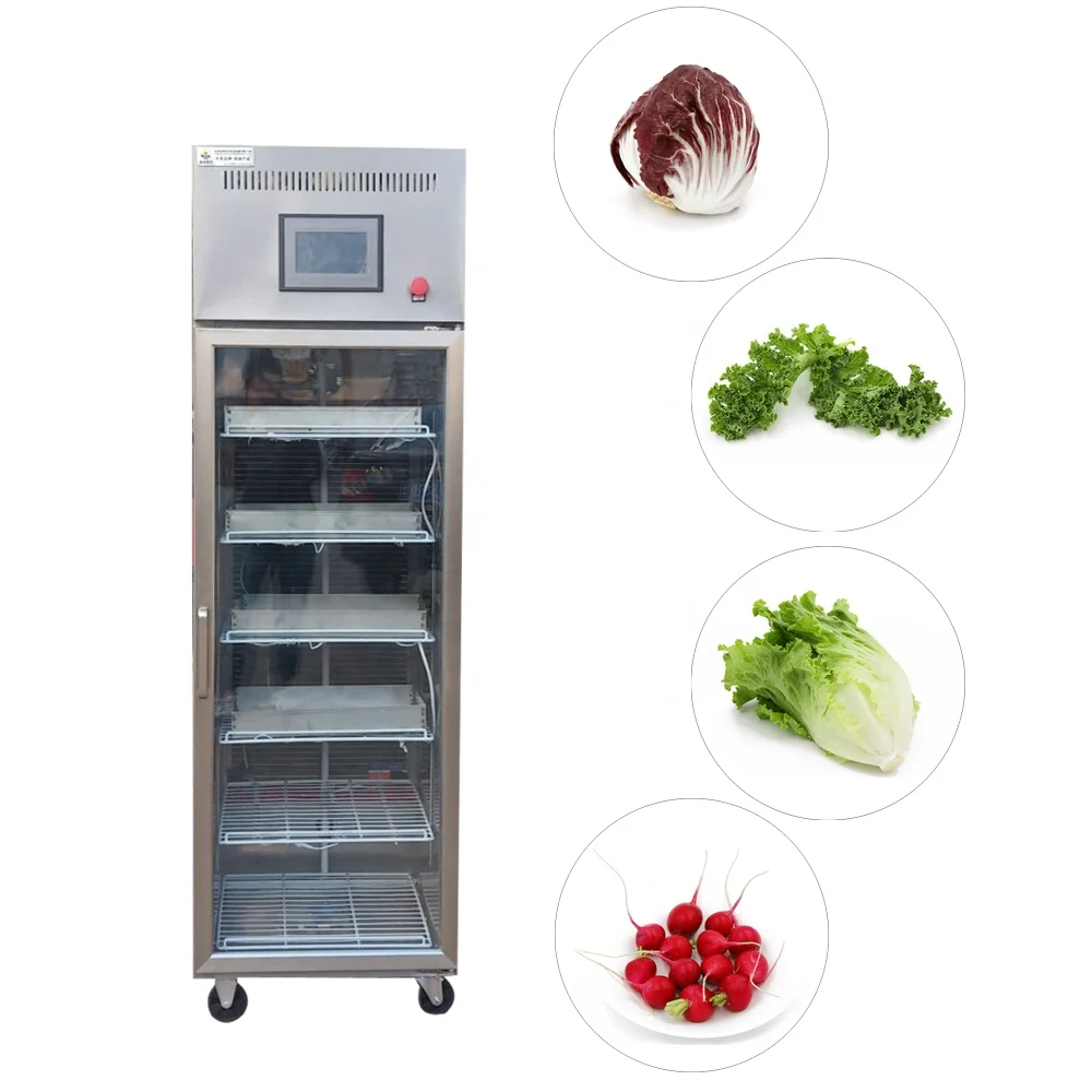 
Automatic salad vegetable planters, such as sesame, chicory and lettuce, come from sunlight machinery 