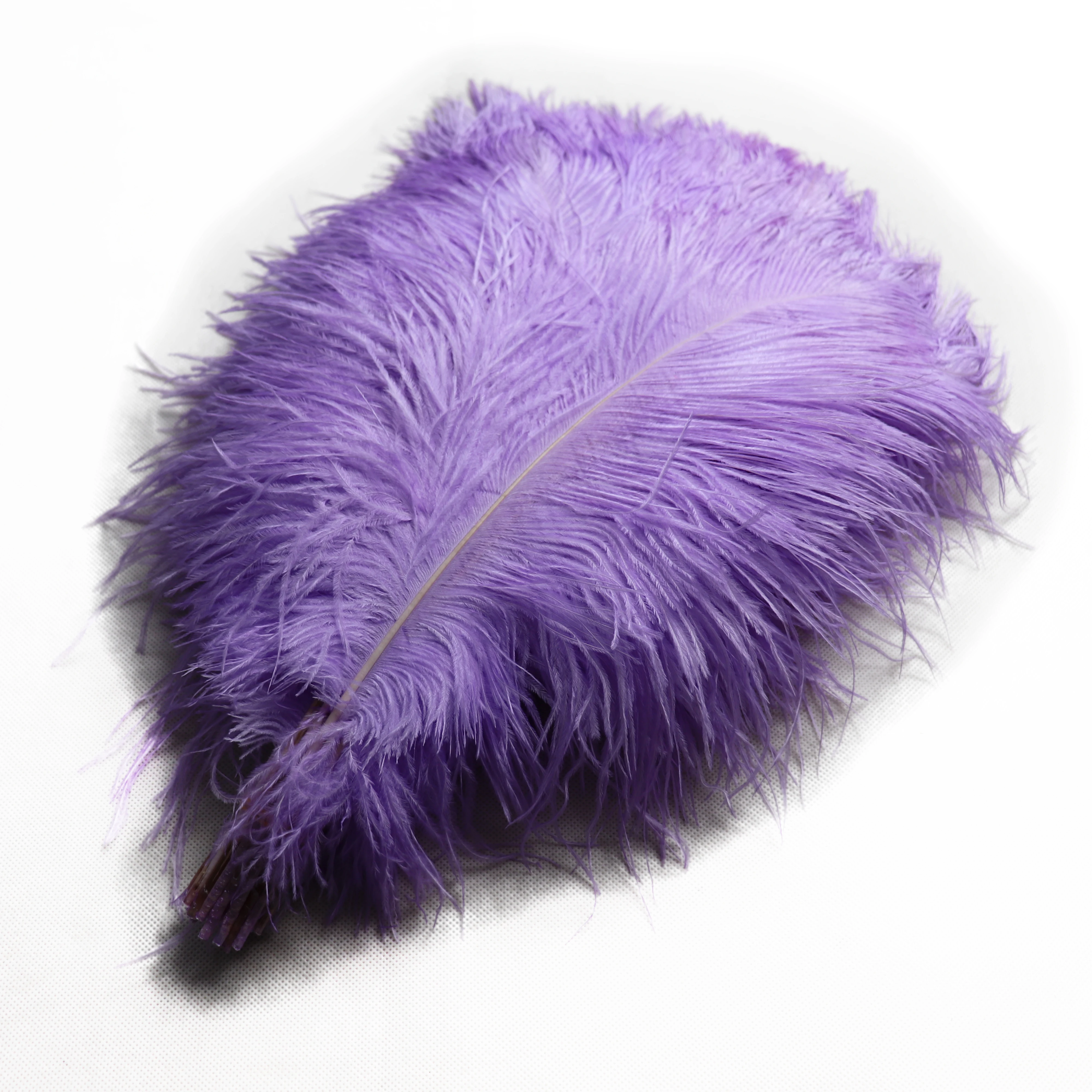 
15-75cm Dyed Colorful Fashionable Top Quality Wholesale Ostrich Feathers Plumes for Wedding Ostrich Feather Tree Decoration 