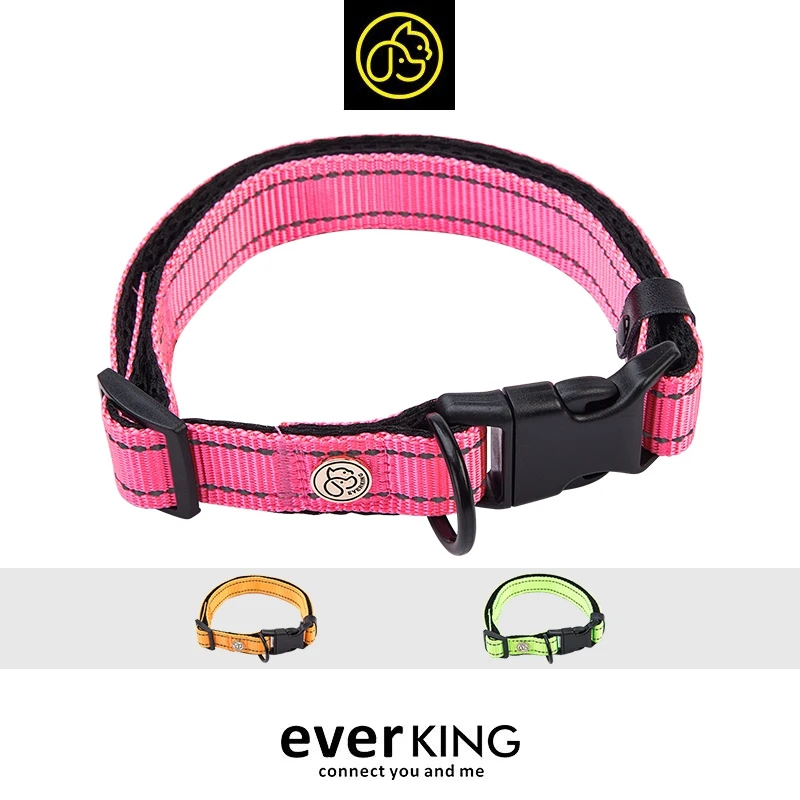 

Wholesale hot selling new design reflective nylon dog leash colorful pet products, 3 styles