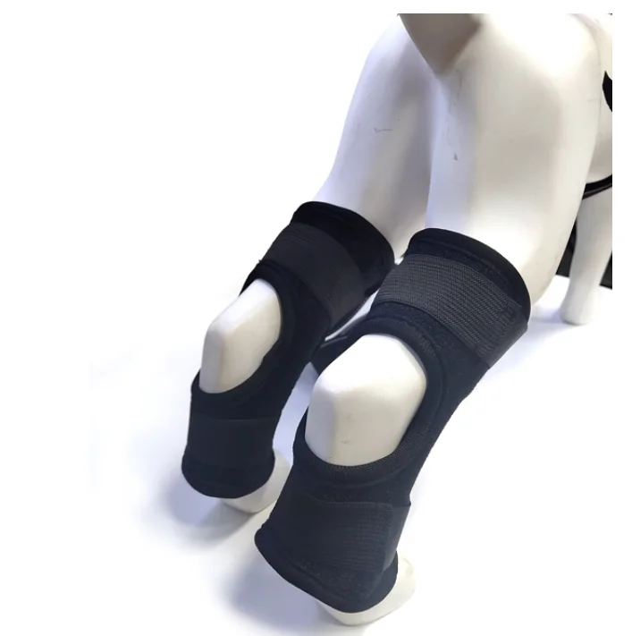 

Hot seller Adjustable Strong durable neoprene nylon Canine Rear Hock Support Pet Knee Pads, Black