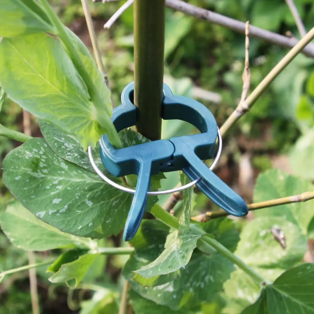 多用途植物夹子 通用塑料夹,用于植物支撑网格和放样.