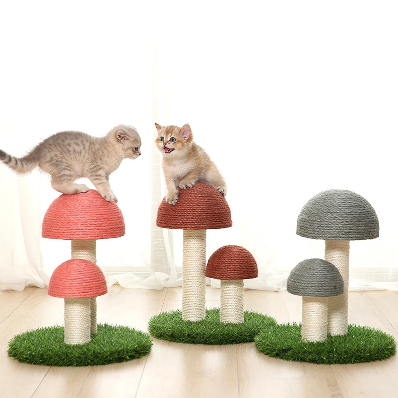 

ADMAX Cat Tree Rattan cat climbing frame Scratch Post for Kittens Pet House basket