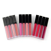 

12 Colors Lipgloss Private Label Liquid