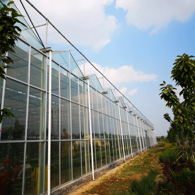 الصين الحديثة واضح المقسى إطارات صوبة زراعية زجاجية للمباني التجارية