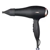 AC Motor Professional induction Hair Dryer