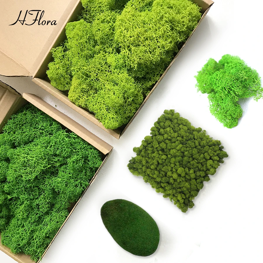 

Hflora Preserved Moss Home Wedding Wall Decoration Reindeer Moss Stabil Natural Stabilized White Hair Moss Wall Panel Decoration