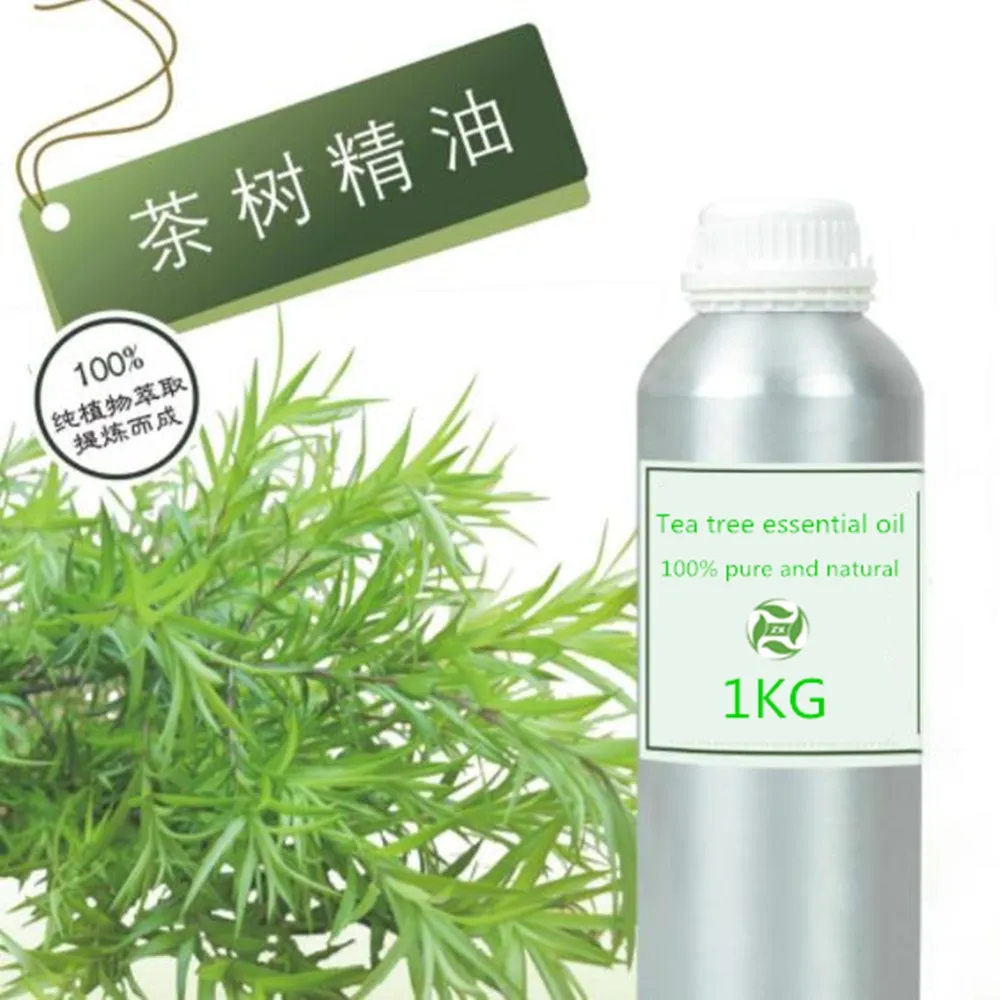

New Stock Fresh 100% Pure And Natural Tea Tree Essential Oil Bulk Wholesale Premium Therapeutic Grade Undiluted