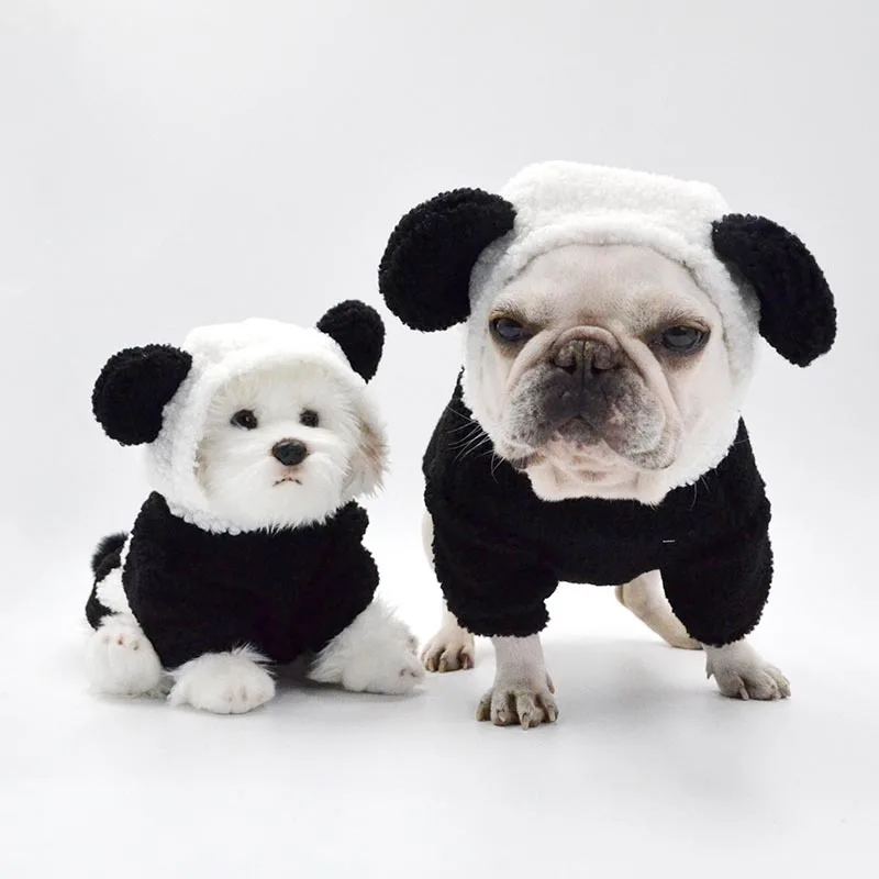 

Spring/Autumn Cute Lion Animal Clothes Pet Cat Puppy Dog Costume, Black/white