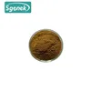 High Quality Kava Root Extract 30% Kavalactone Kava Extract