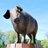 Garden Decor Bronze Pig Sculpture for Sale