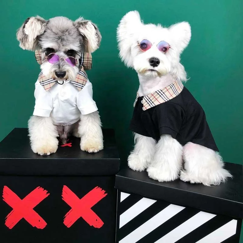 

Luxury Fashion Summer thin small dog T-shirt Corgi Teddy Schnauzer polo dog shirt, As photo show