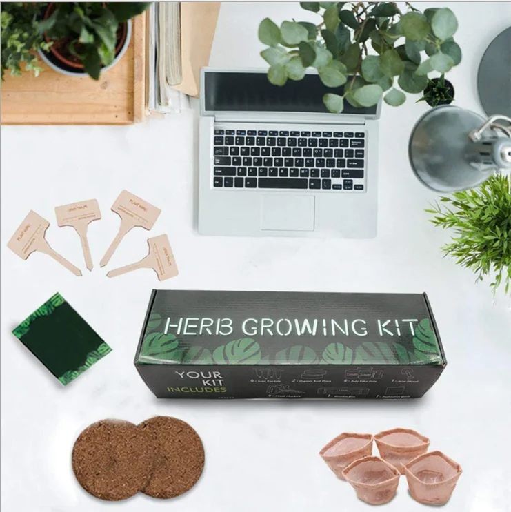 

Indoor Herb Garden Starter Kit Suitable for office and home