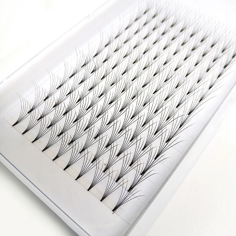 

6D premade fans lashes Volume eyelashes Easy To Fan with eyelash packaging, Natural black