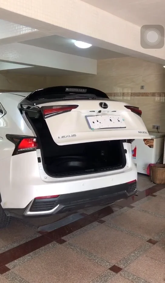 Filet De Coffre De Voiture Pour Lexus NX NX200t NX300h NX200 NX300 200t 300h 200 300 2015-2020
