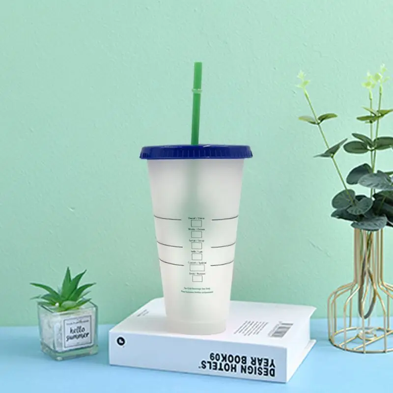 

New Product 2020 Transparent plastic cup with lid and straw Reusable temperature plastic cup Magic Mug, Customized color