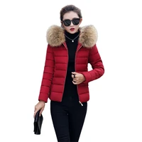 

Women Winter Light Coat Woman Down Jacket Lightweight Female Full Jacket Feather Ultra Thin Down Jacket Long Sleeve