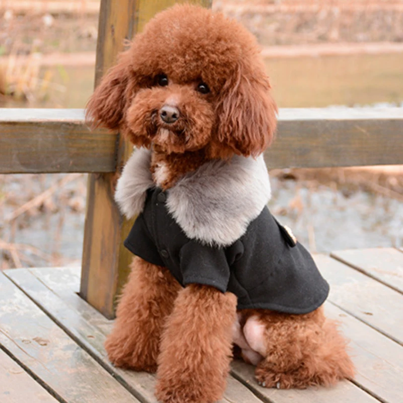 

New Arrivel High Collar Dog Apparel Available Popular Cotton Pet Winter Coat, Picture