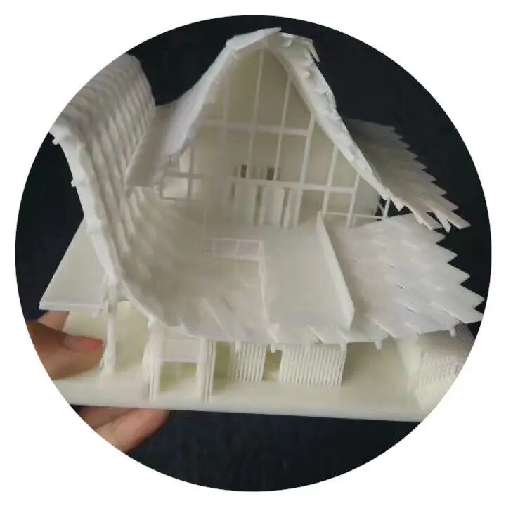 

Customized 3D Printing Parts SLA SLS Plastic Prototype ABS POM Nylon 3D Printing Service