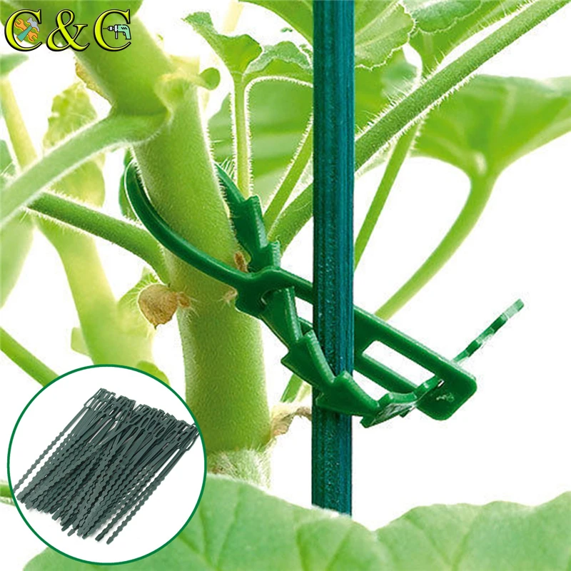 

Reusable Various Usage Garden Plastic Plant Cable Ties Straps Adjustable Tree Climbing Support, As photo