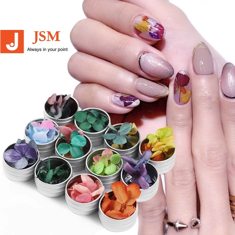 Beautypapa Dried Flowers Nail Art Stickers Dry Flower Decoration With Case Small Nail Art Flowers Nailart  Accessories