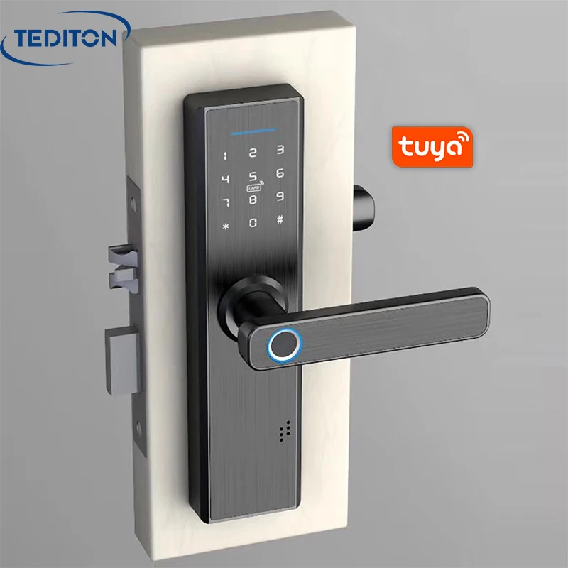 

Tuya WiFi Biometric Fingerprint smart Digital Keyless Safe Entry Smartphone App door lock