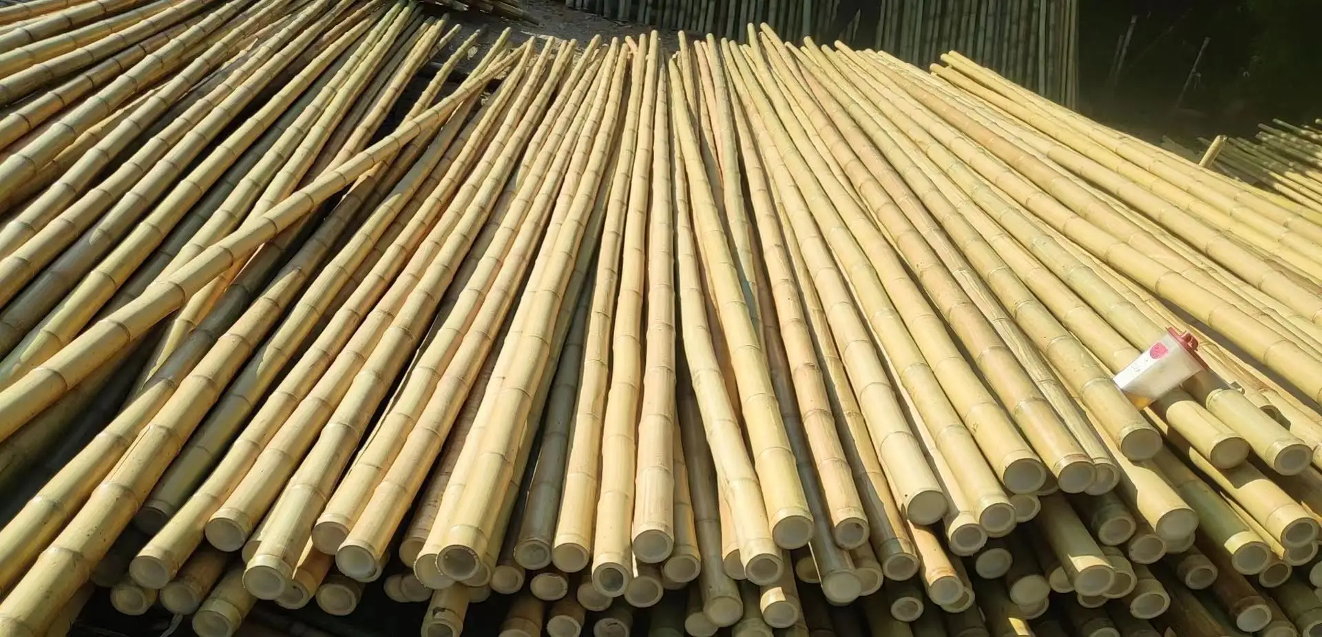 Large Bamboo Sticks Buy Bamboo Poles,Bamboo Stakes,Bamboo Sticks