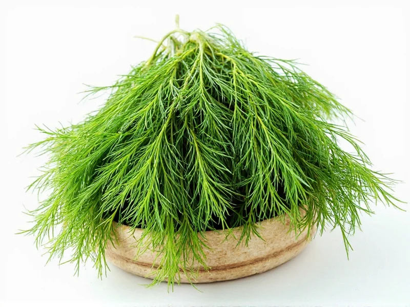 How to Dry Dill: 4 Methods That Preserve Flavor